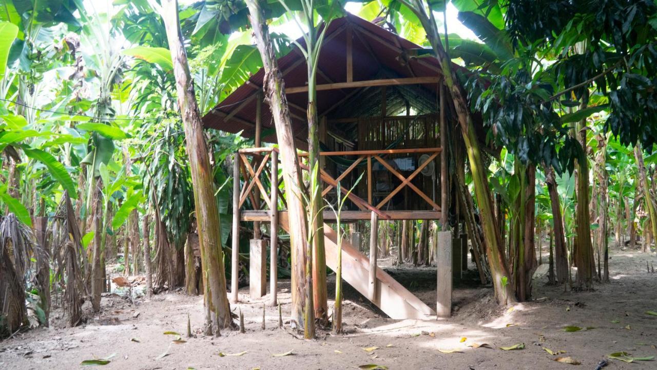 La Playita Pansiyon Guachaca Dış mekan fotoğraf
