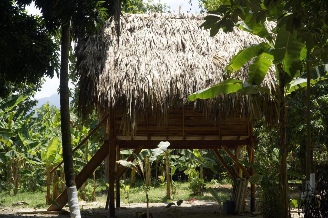La Playita Pansiyon Guachaca Dış mekan fotoğraf